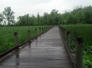 IMG_20150604_124321_735