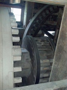 IMG_20150603_092503_136