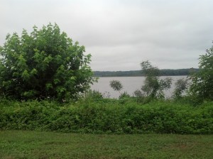 IMG_20150604_132251_564