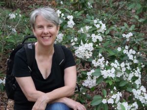 SAMSUNG CAMERA PICTURES