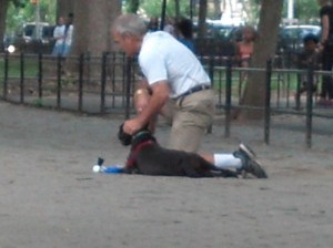 IMG_20150609_140743_187